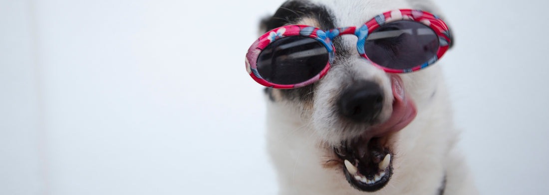 download - 2025-12-11T134325.117